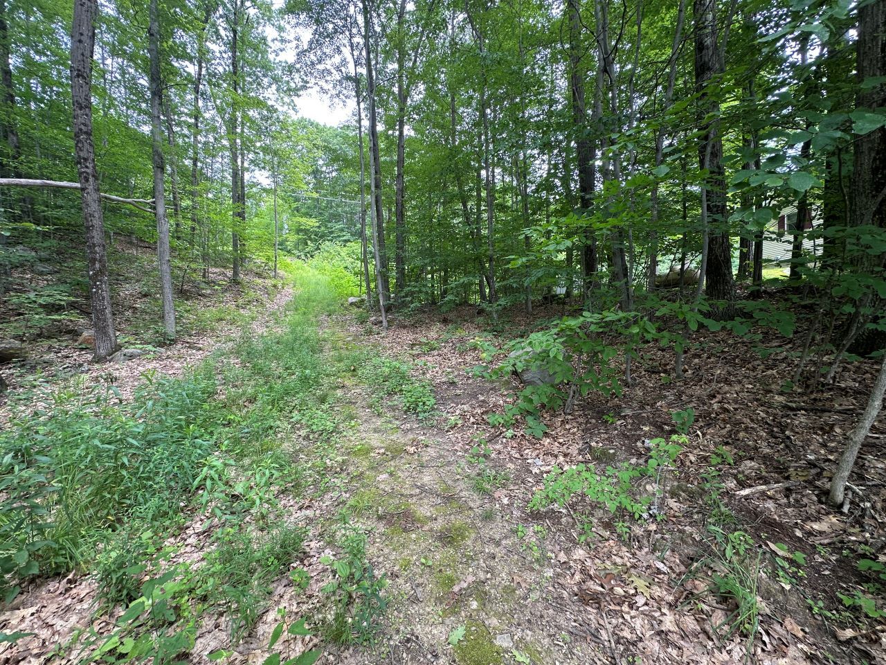 0 Shepherd Ln, Rutland, VT for Sale