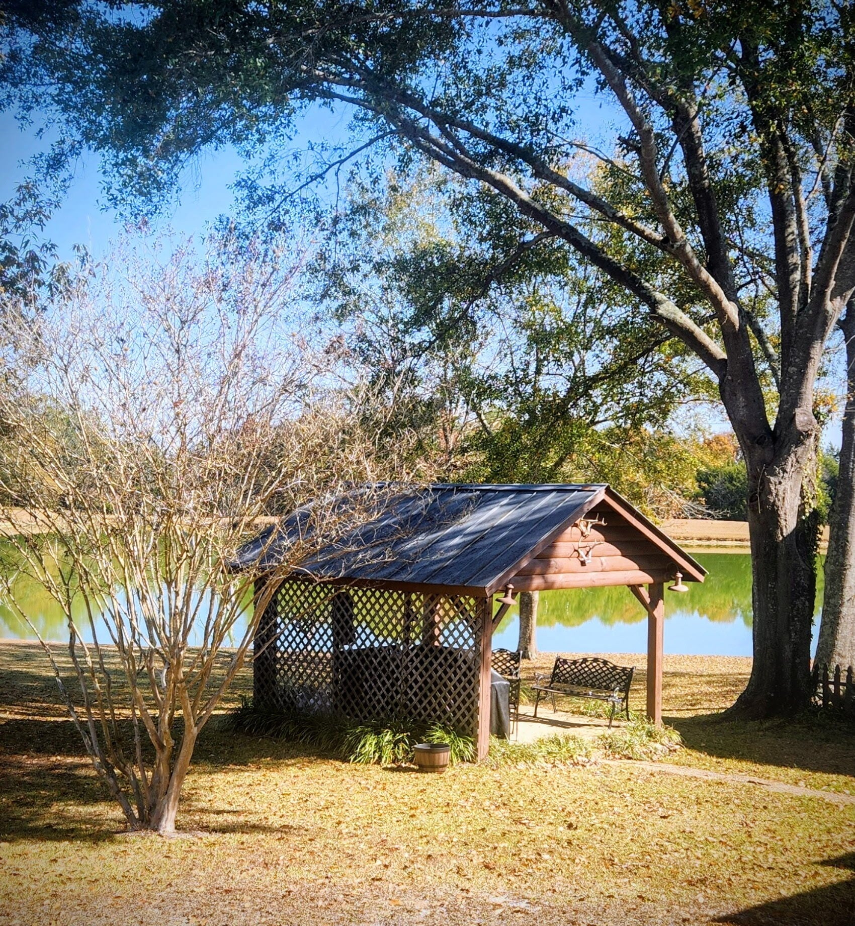 289 Acres, Hayneville, AL for Sale