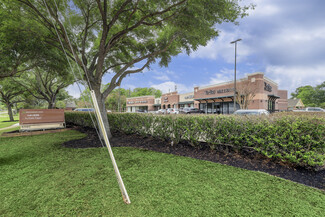 Sugar Land, TX Retail - 6560 Greatwood Pky