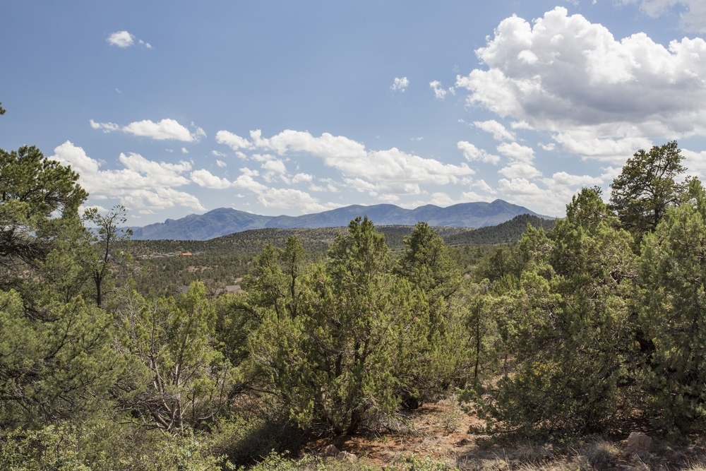 1250 W. Airport Rd, Payson, AZ for Sale