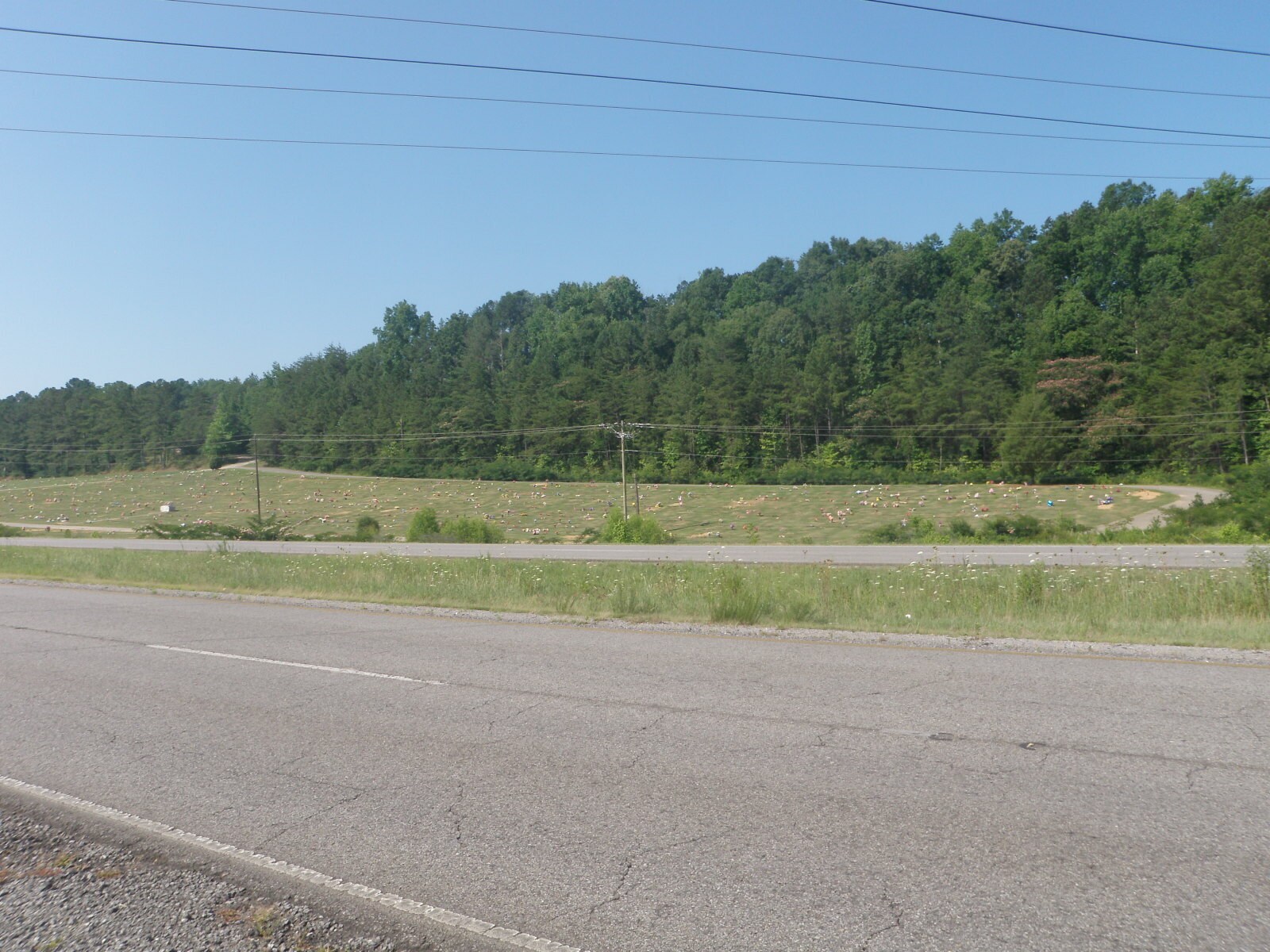 1230 Minor Pky, Birmingham, AL for Sale