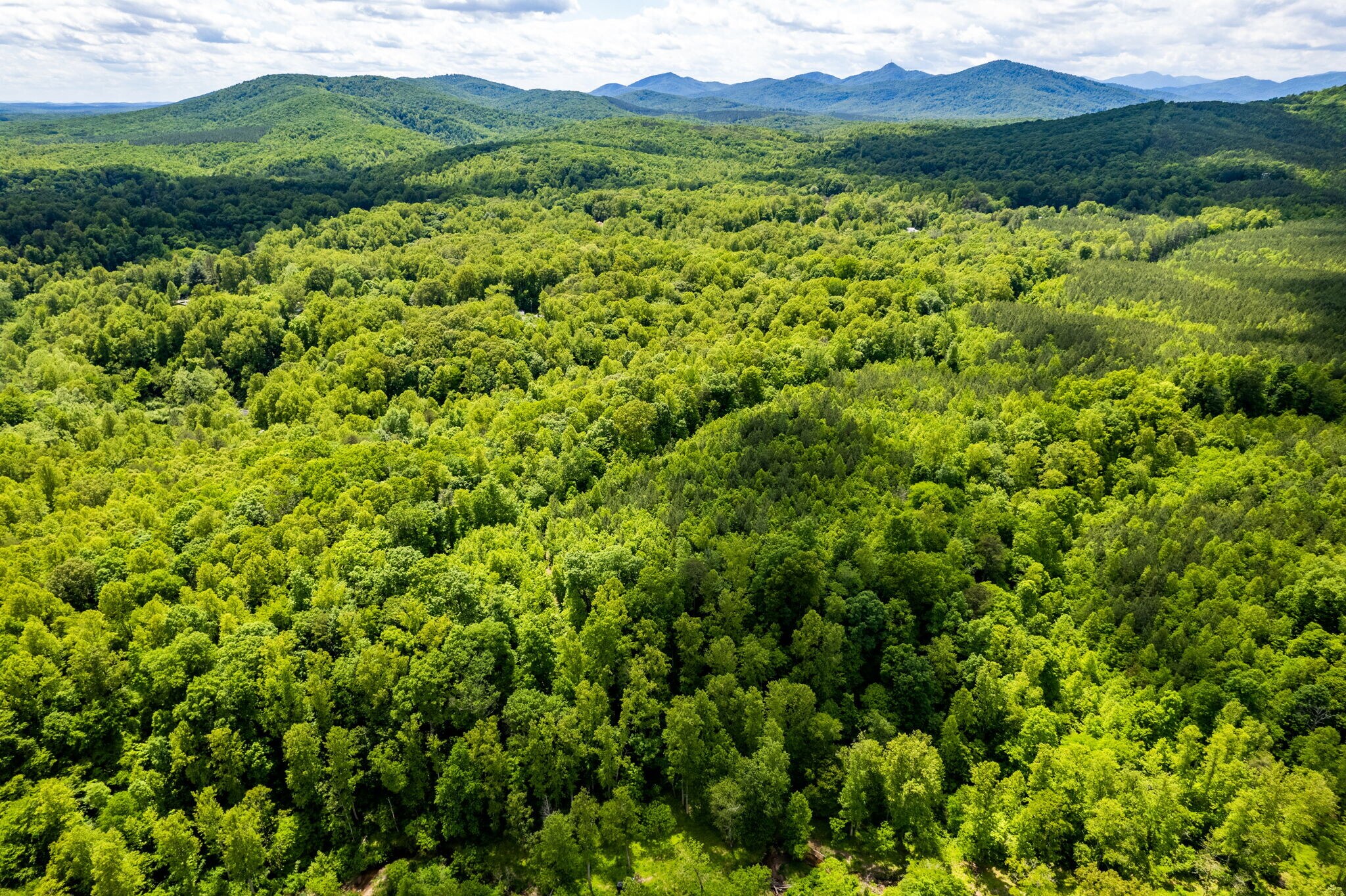 tbd Green Creek Rd, Schuyler, VA for Sale