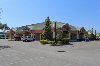 Lutz, FL Retail - 21760-21776 State Road 54