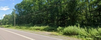 Hunlock Creek, PA Commercial Land - 12 Garden dr