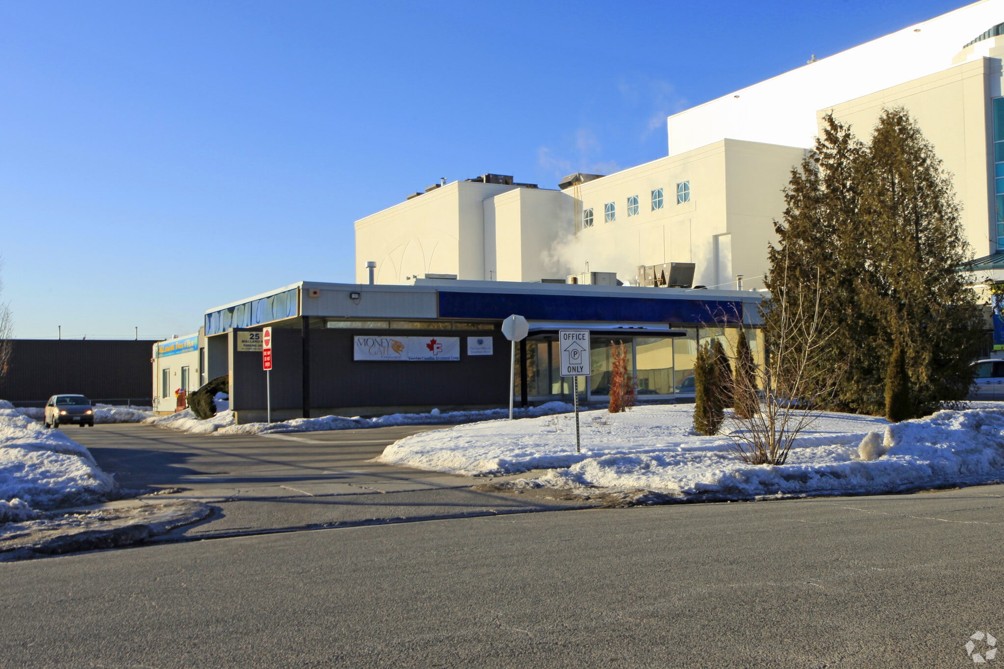25 Mallard Rd, Toronto, ON for Rent