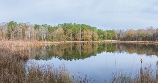 Orangeburg, SC Agricultural Land - 409 Windward Ave