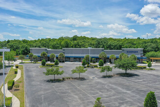 Wesley Chapel, FL Retail - 26240 Golden Maple Loop