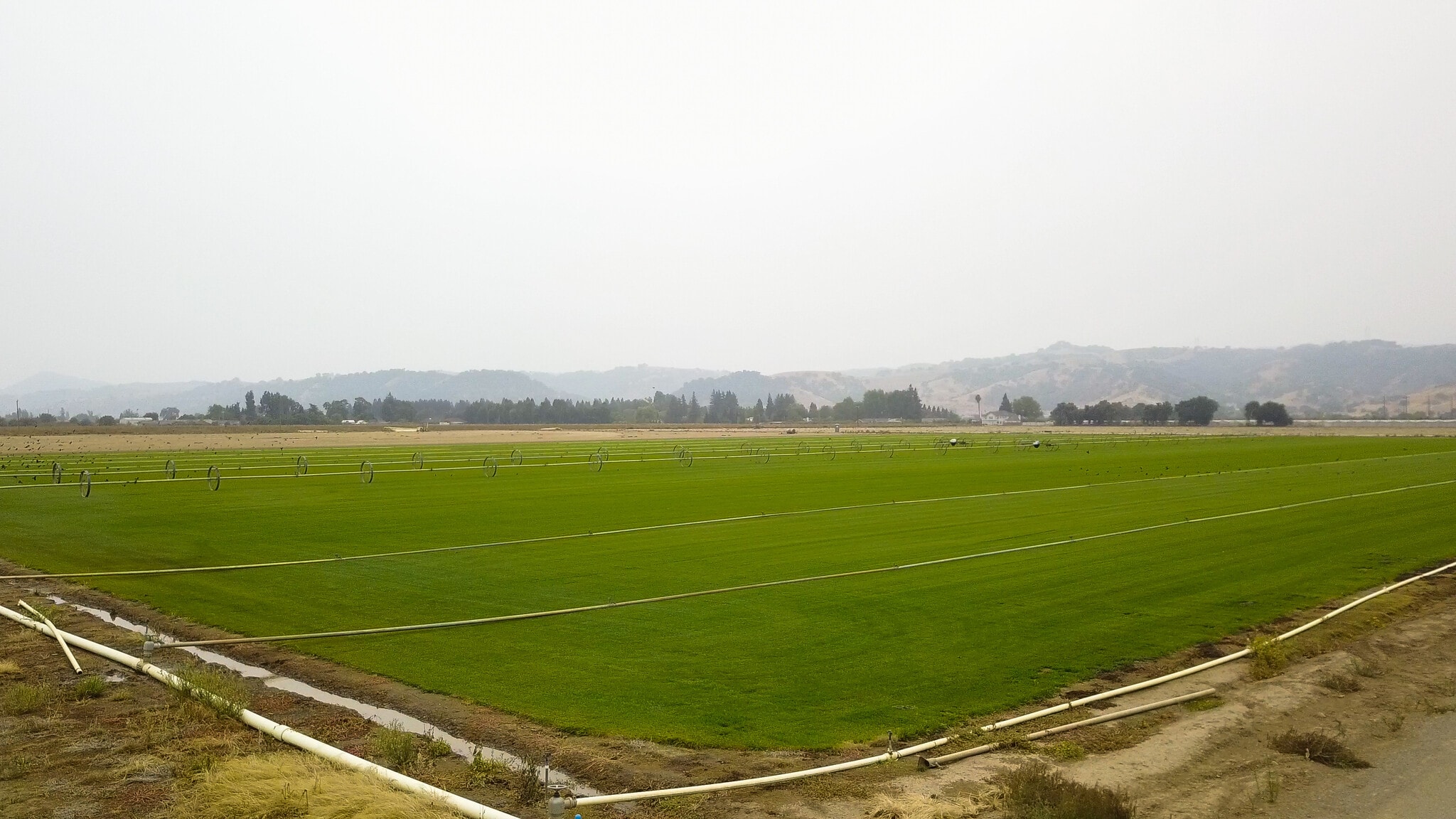 Richmond Ave @ Santa Teresa Rd, Morgan Hill, CA for Sale