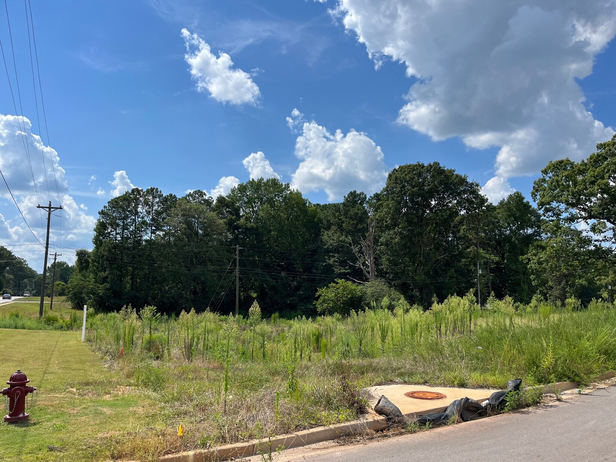 Lot 4 Poplar, Newnan, GA for Sale