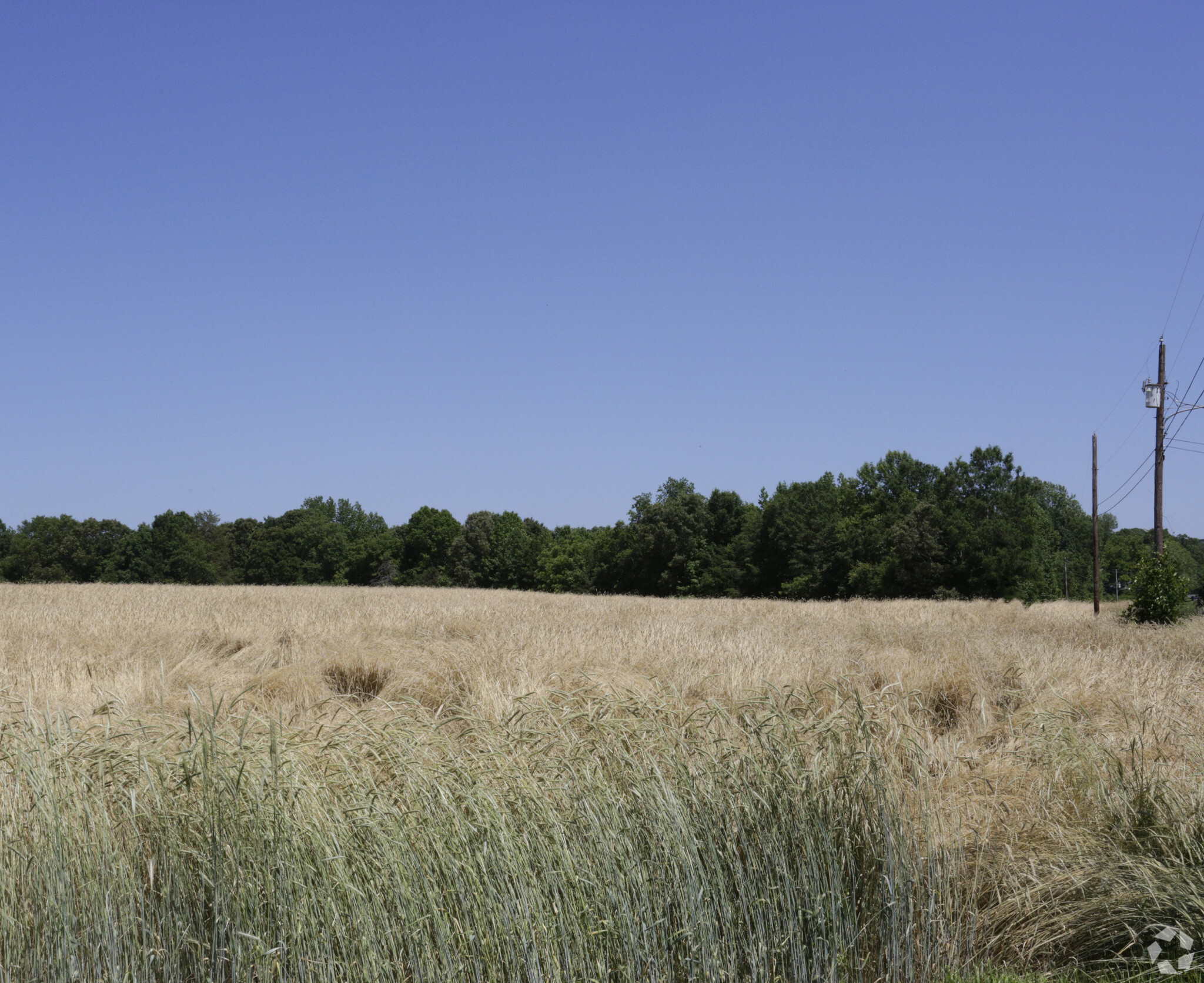 Browns Hill Rd, Stanfield, NC for Sale