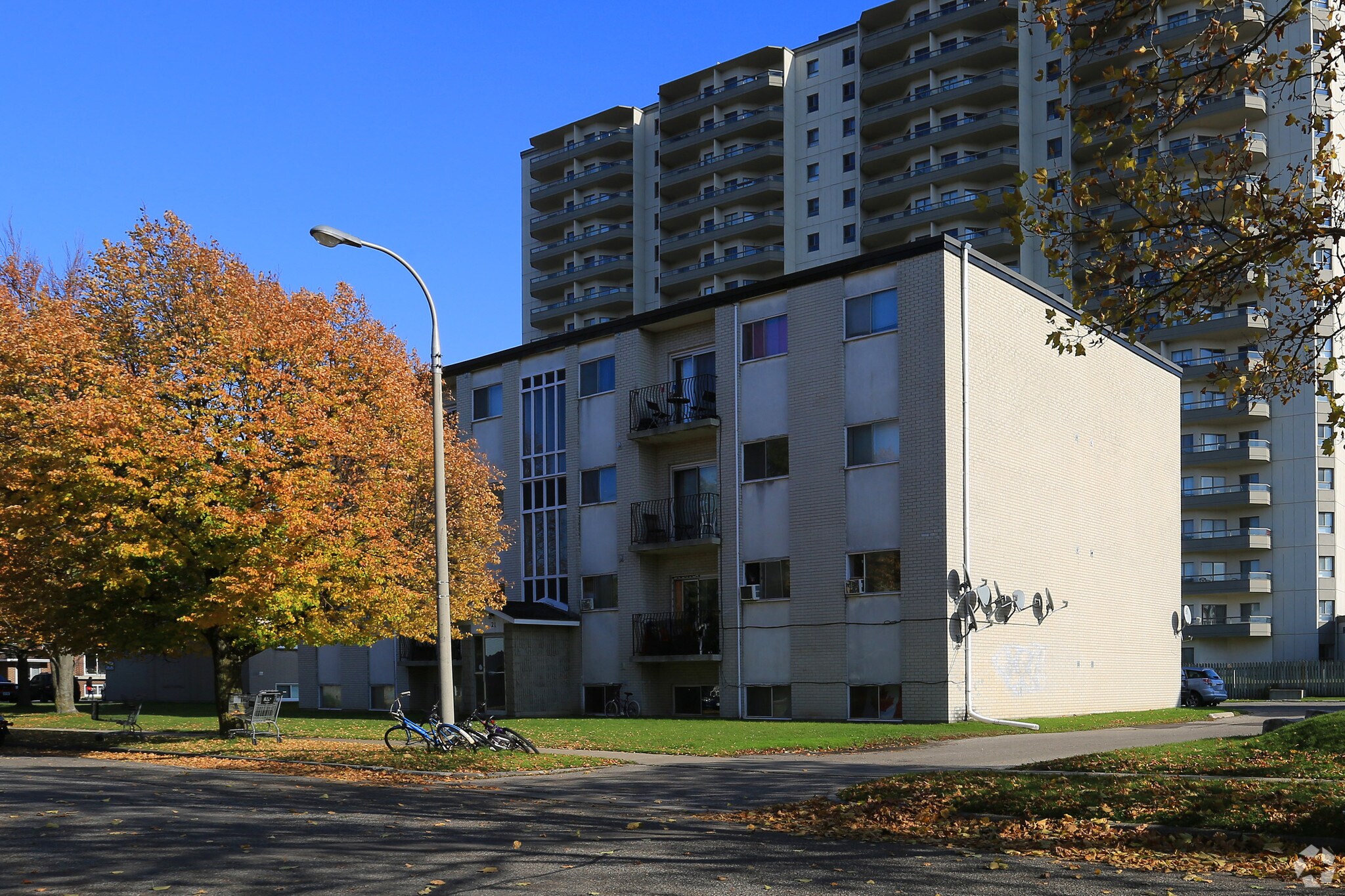 21 Balfour Cres, Kitchener, ON for Sale