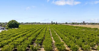 Lemoore, CA Agricultural Land - Hanford Armona