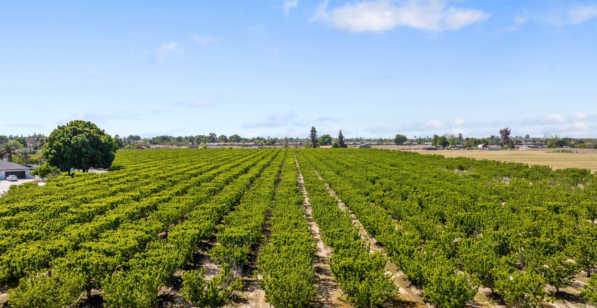 Hanford Armona, Lemoore, CA for Sale