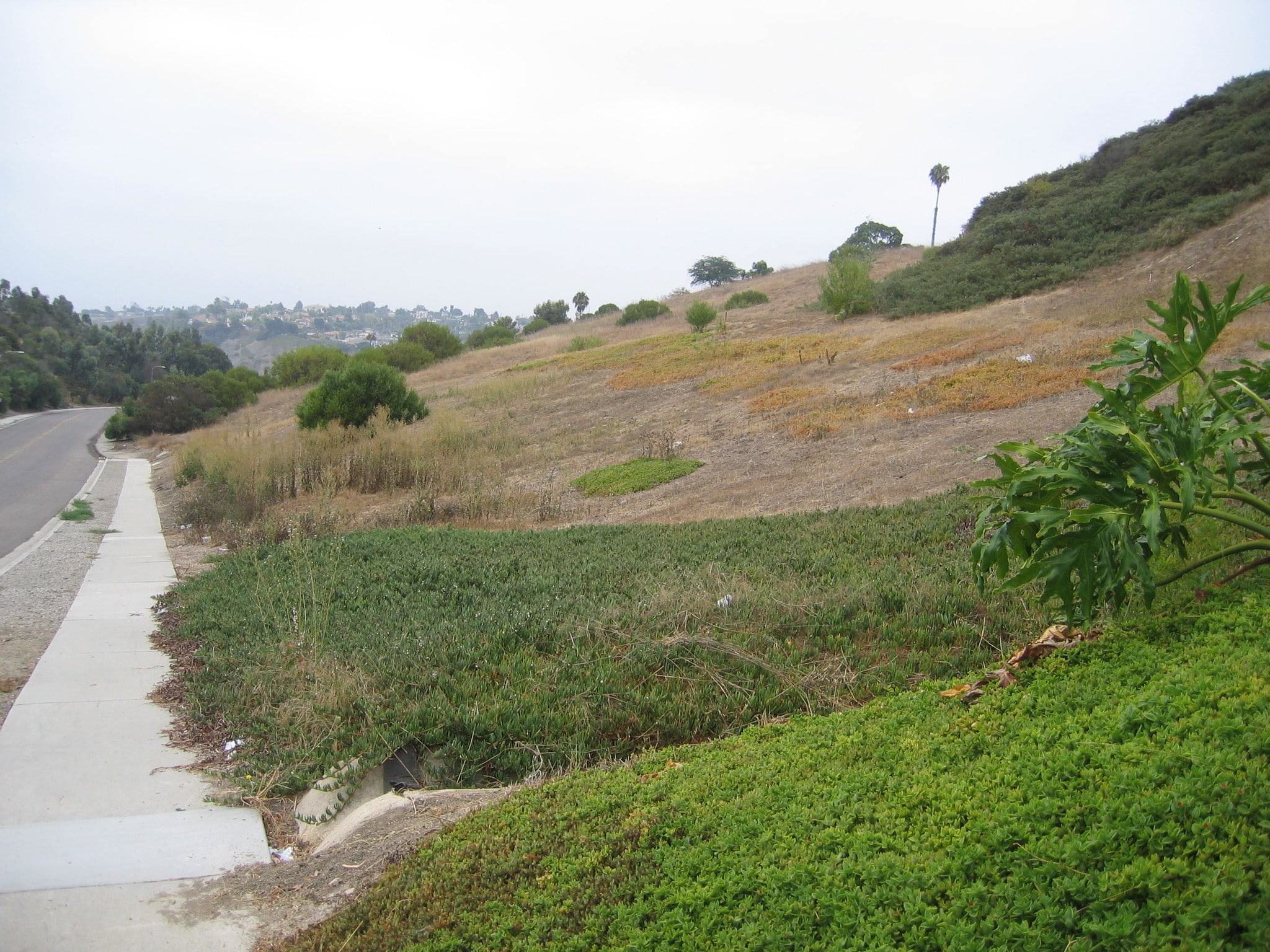Fowles St, Oceanside, CA for Sale