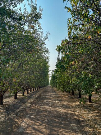 Arvin, CA Agricultural Land - Bear Mountain Blvd. @ Malaga Rd.