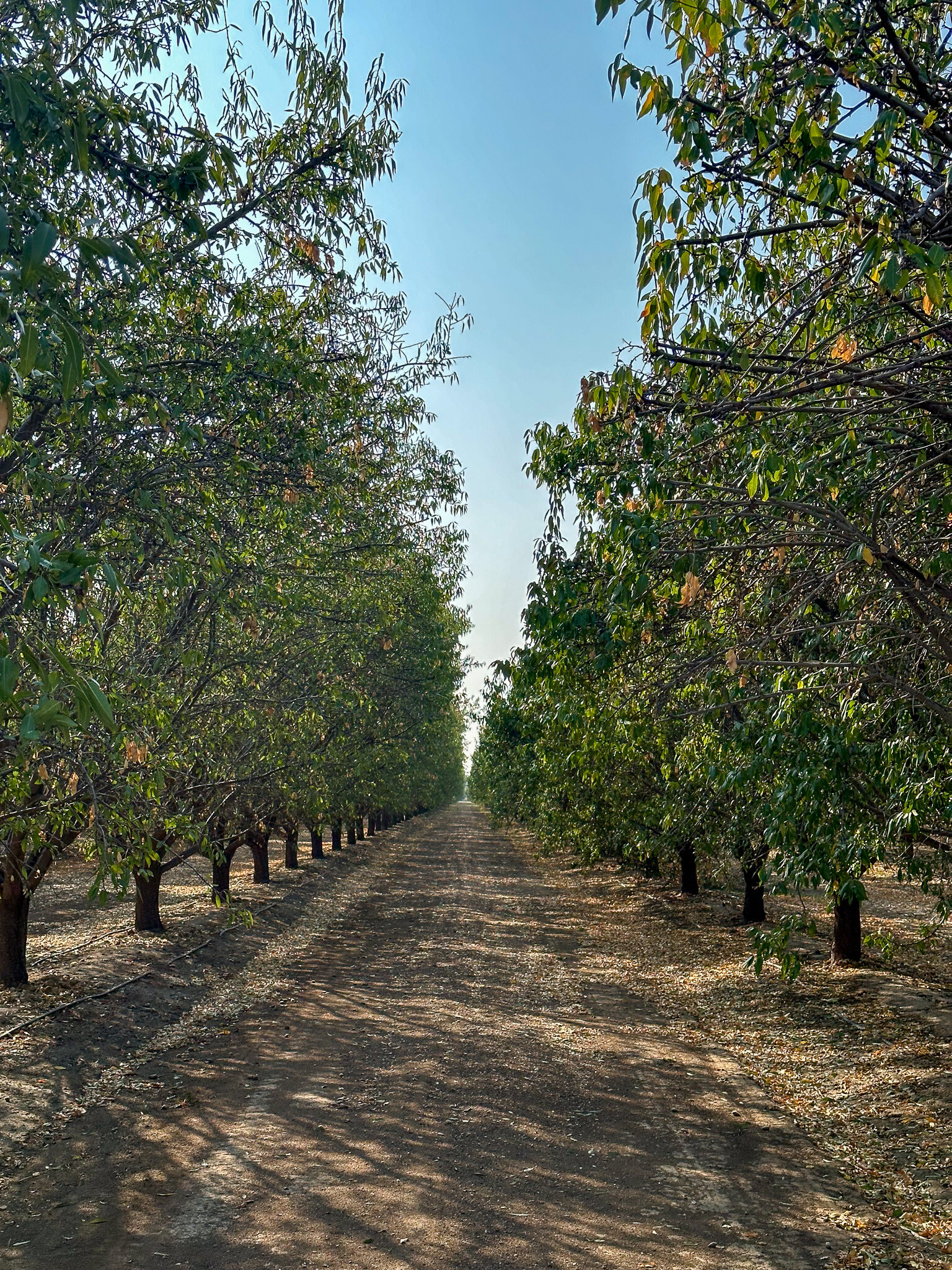 Bear Mountain Blvd. @ Malaga Rd., Arvin, CA for Sale