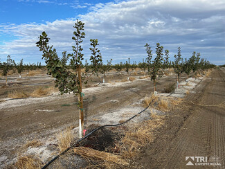 Winters, CA Agricultural - 0 County Road 89