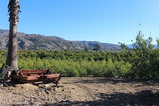 Fillmore, CA Agricultural Land - 1100 Cliff Ave
