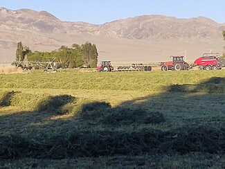 Dyer, NV Agricultural - Fish Lake Valley