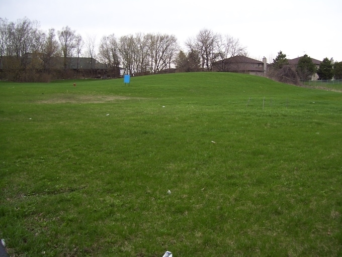 1120 W Spring St, South Elgin, IL for Sale