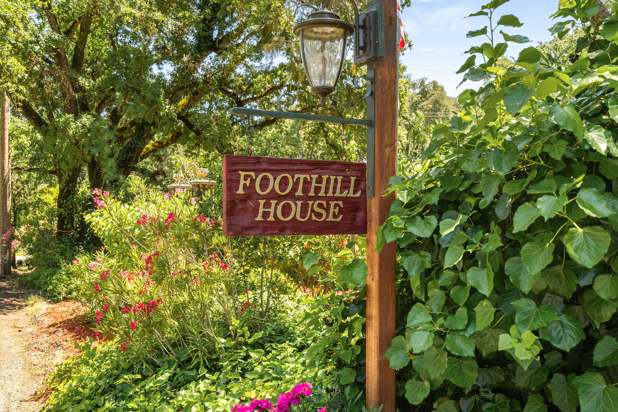 3037 Foothill Blvd, Calistoga, CA for Sale