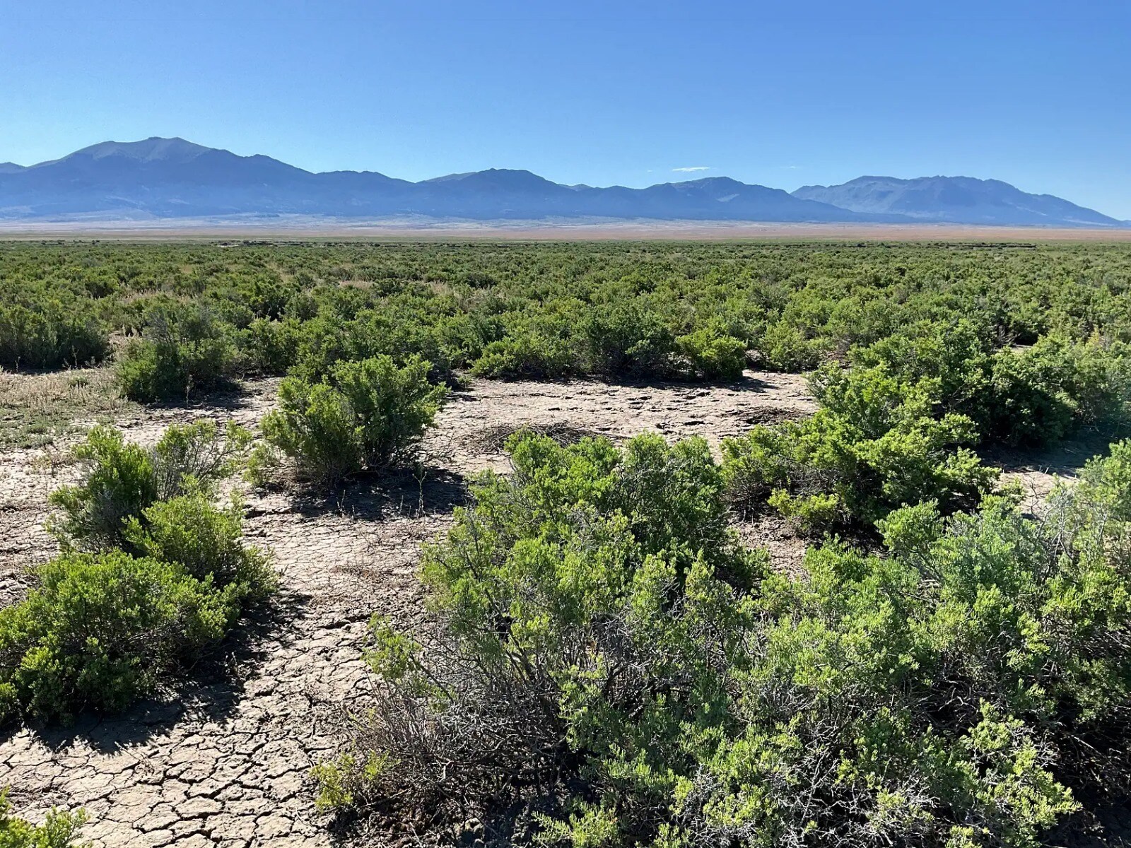 000 Montello Springs Rd, Montello, NV for Sale