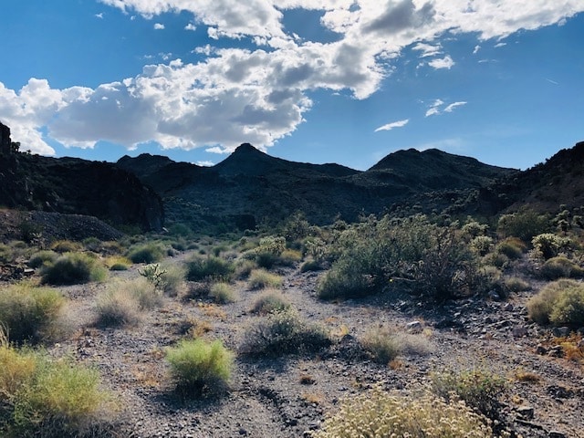 State Road 165 @ Nelson, Nelson, NV for Sale