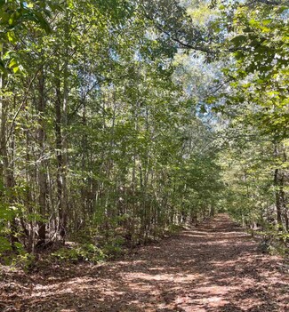 Woodruff, SC Industrial Land - 185 Meadow Green Ln