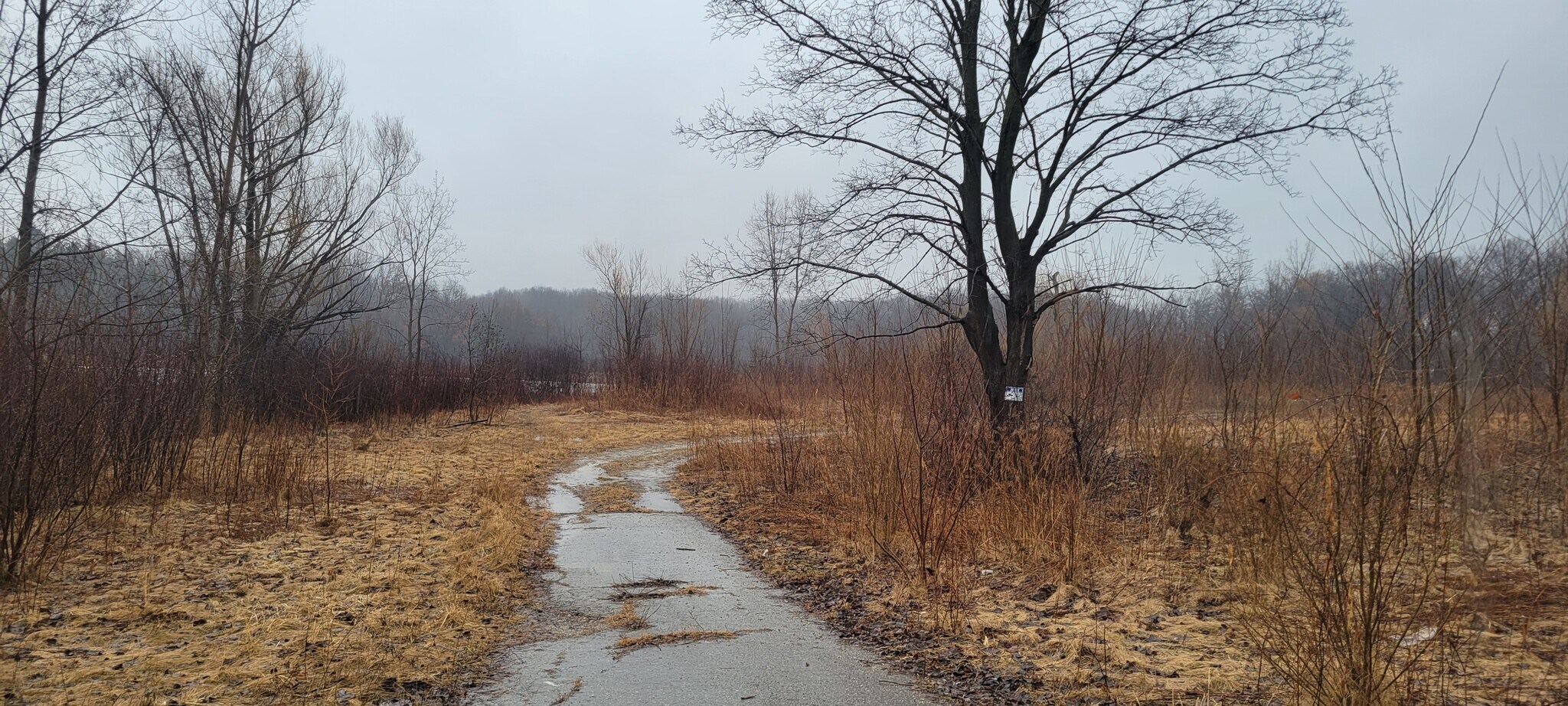 4125 Flint Road, Brighton, MI for Sale