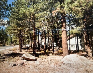 Mammoth Lakes, CA Residential - 558 Lupin St Mammoth Lakes, CA Residential - 558 Lupin St