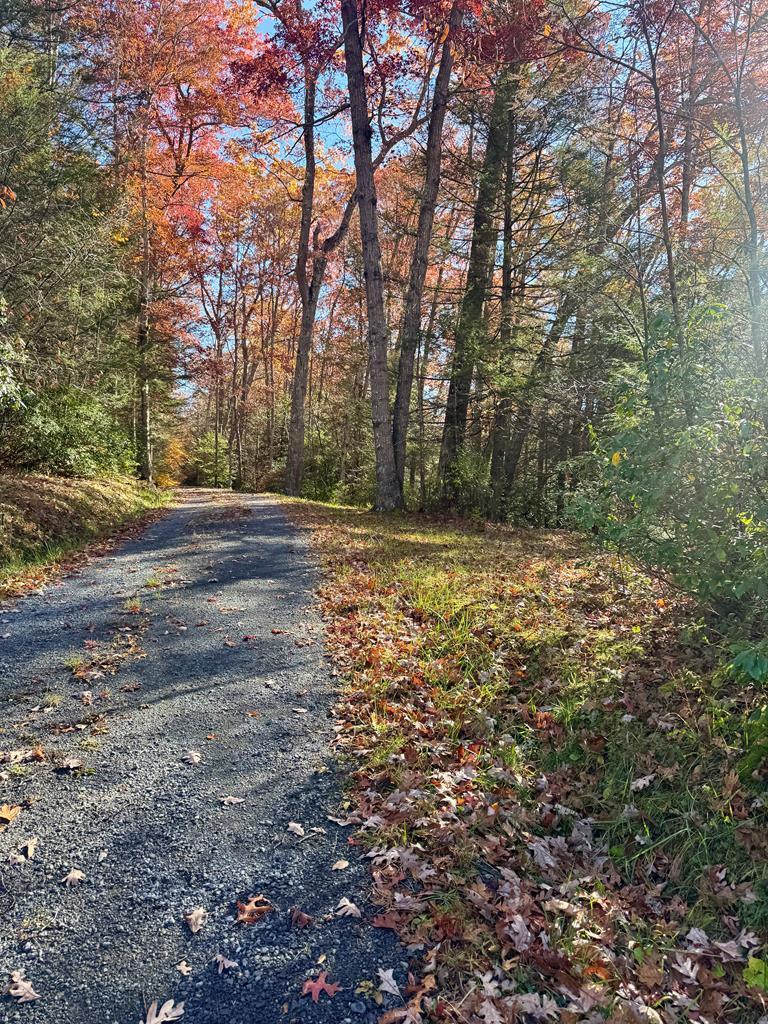 58 Martin Ln, Nallen, WV for Sale