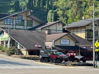 Gatlinburg, TN Flex - 446 E Parkway