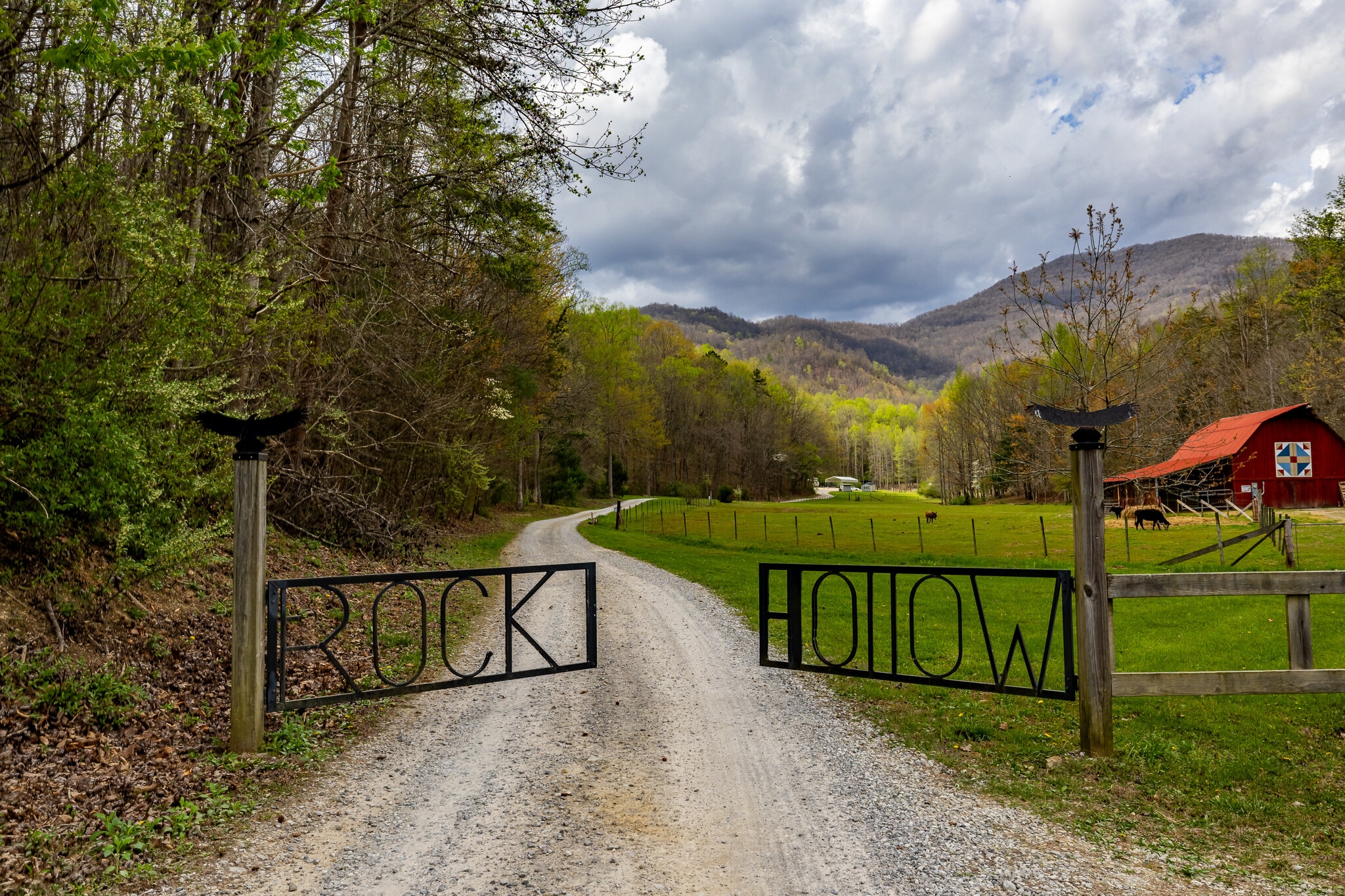 1534 Cove Ln, Oliver Springs, TN for Sale