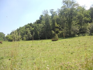 Morgantown, WV Residential - 595 Wades Run Rd
