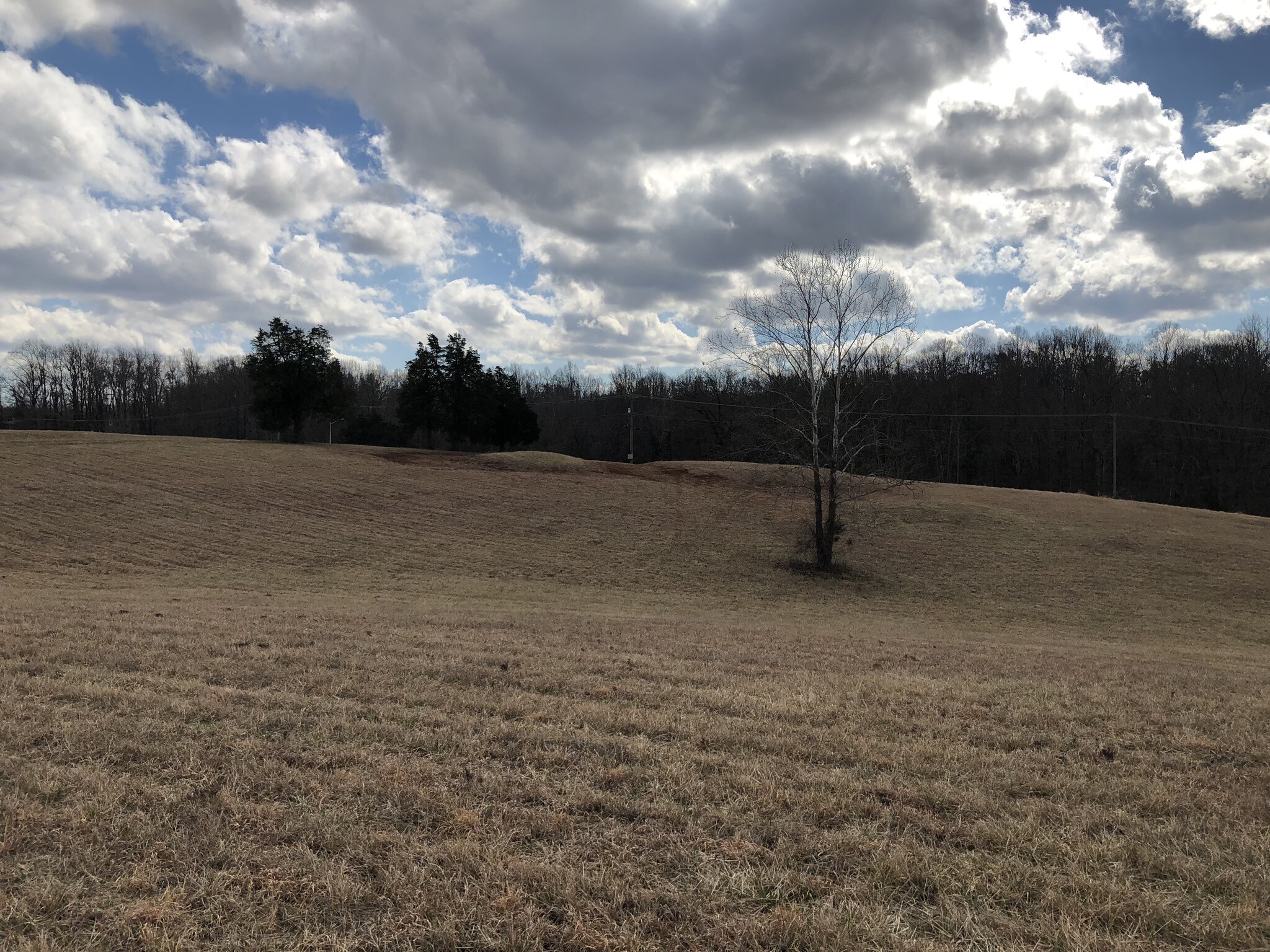 Brockman Park Drive, West & East Commerce St, Amherst, VA for Sale