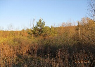150 Cafferty RD