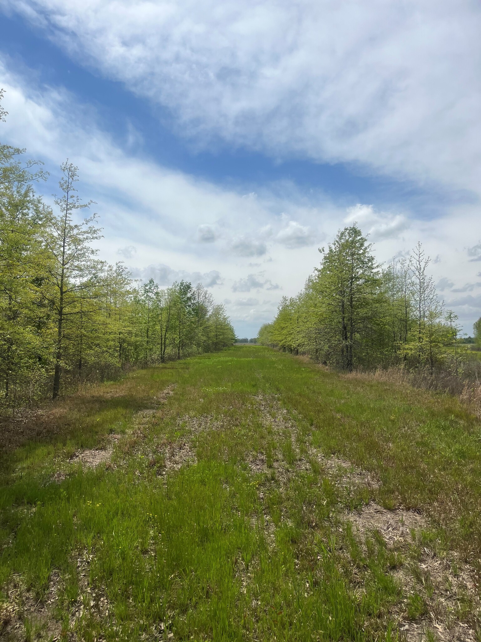 0 Hwy 147 hwy, Proctor, AR for Sale