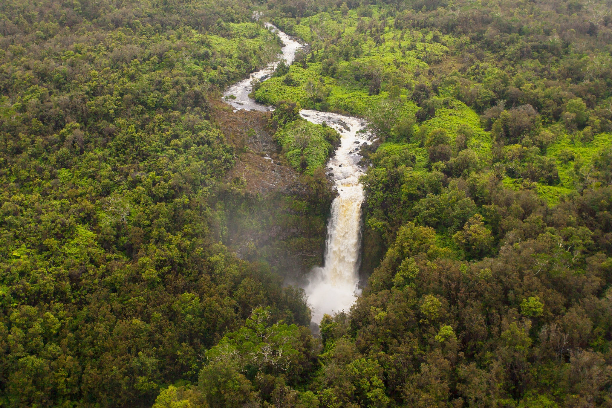 Koa Forest Pepeekeo, HI 96783 - Land Property for Sale on Showcase.com