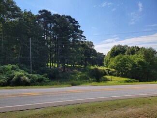 Canton, GA Commercial Land - 981 Reinhardt Pky