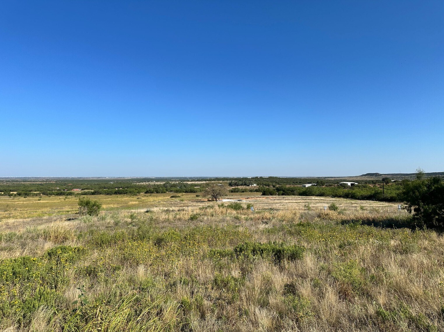 800 County Road 214, Sweetwater, TX for Rent