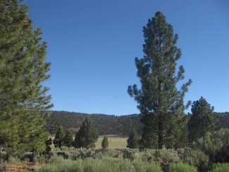 Big Bear City, CA Residential - 2805 Cedar