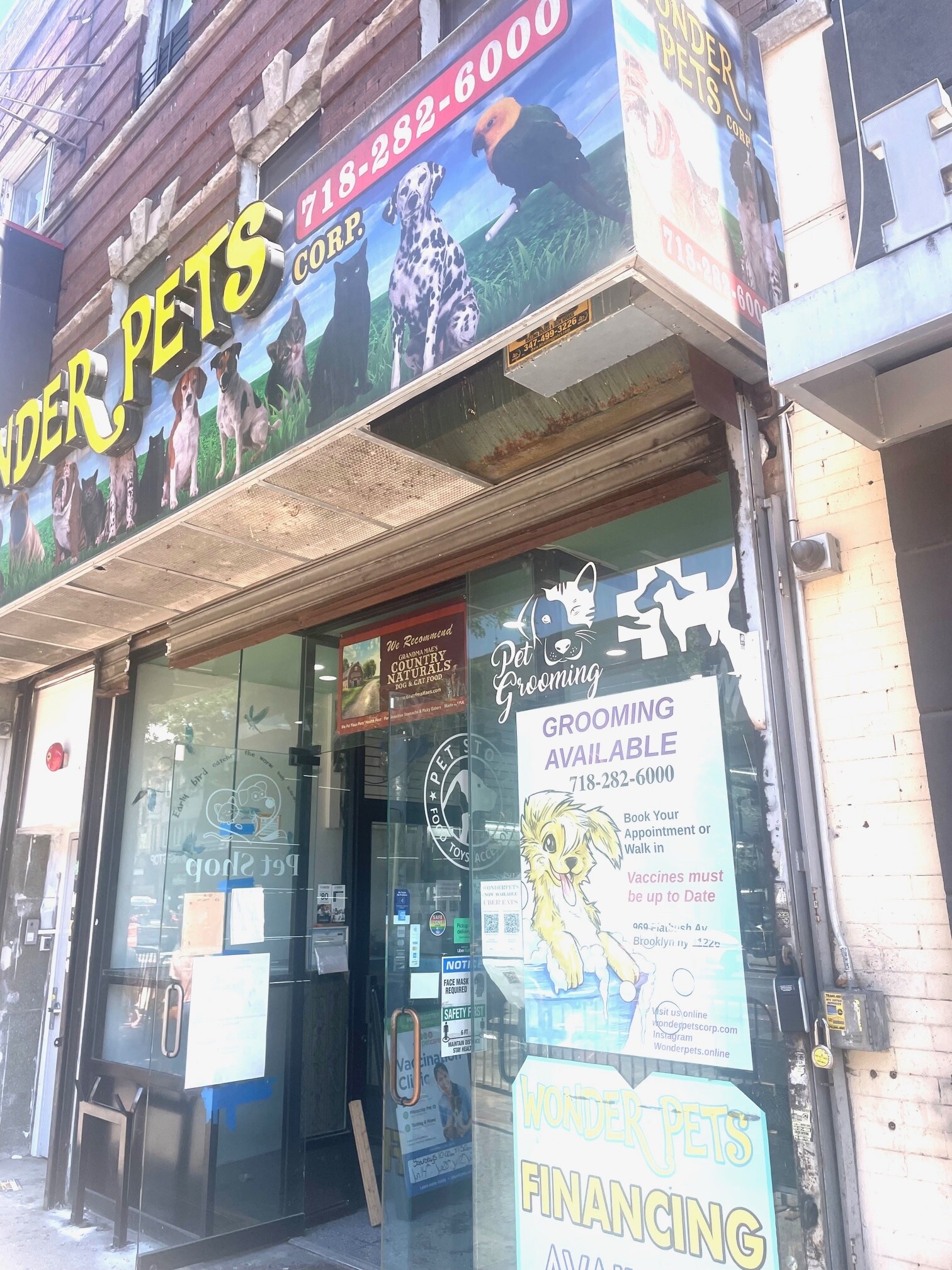 969 Flatbush Ave, Brooklyn, NY for Rent
