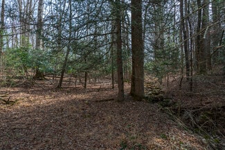 Arden, NC Commercial - Ball Gap rd