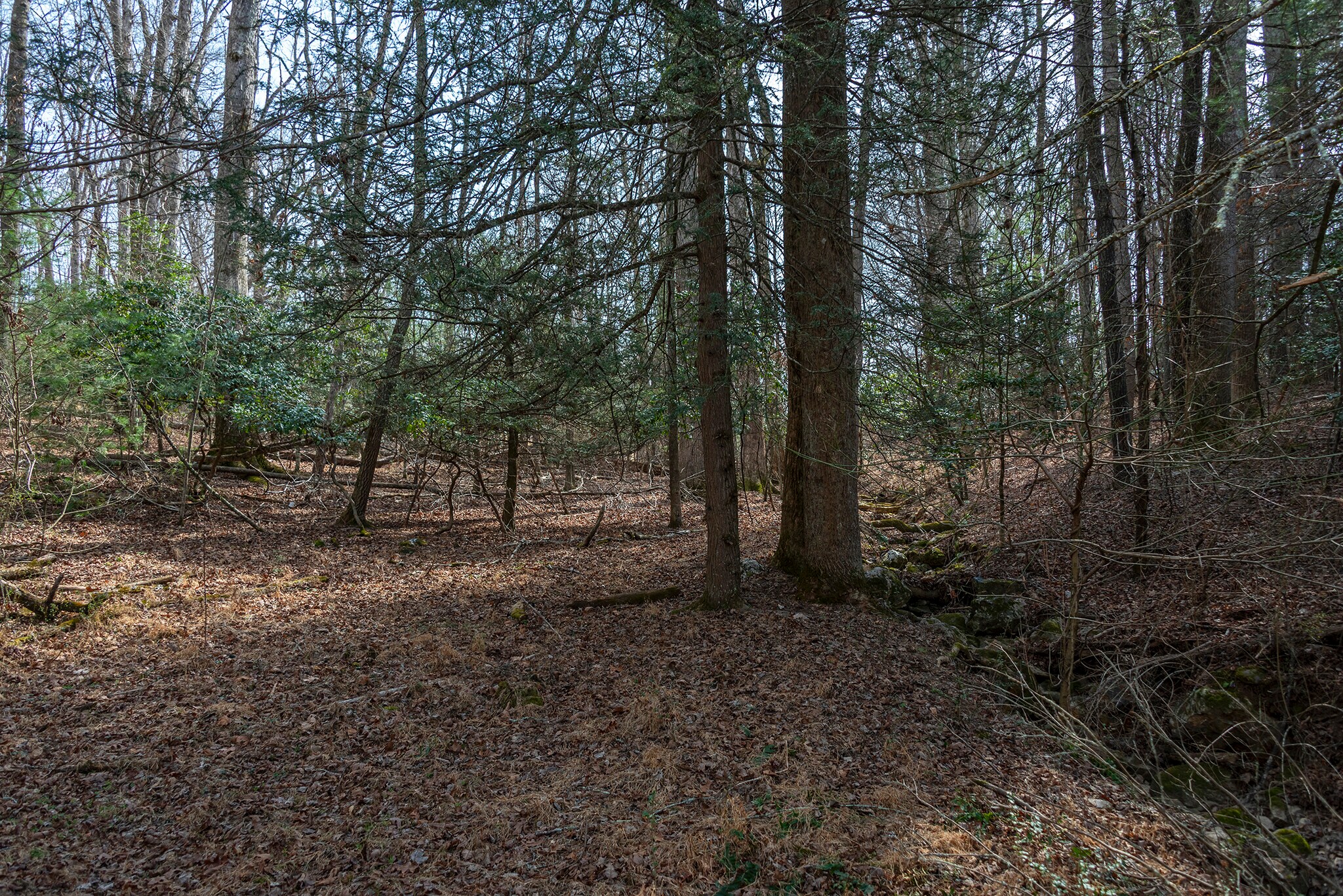 Ball Gap rd, Arden, NC for Sale