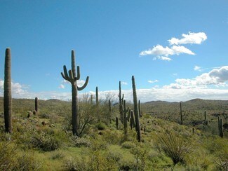 41000 N Honda Bow Litchfield  