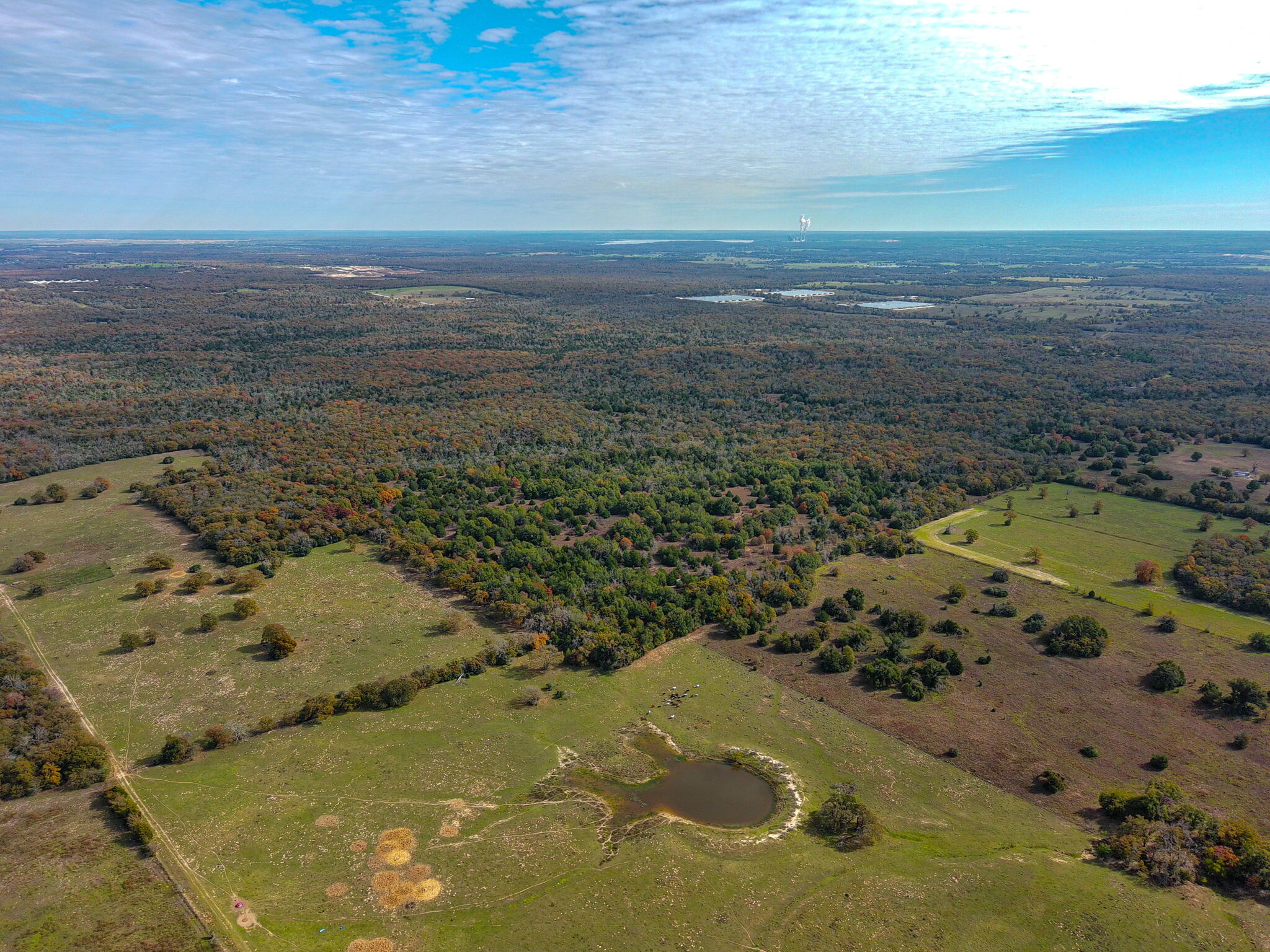 0000 TBD 600 Acres Falls County, Kosse, TX for Sale