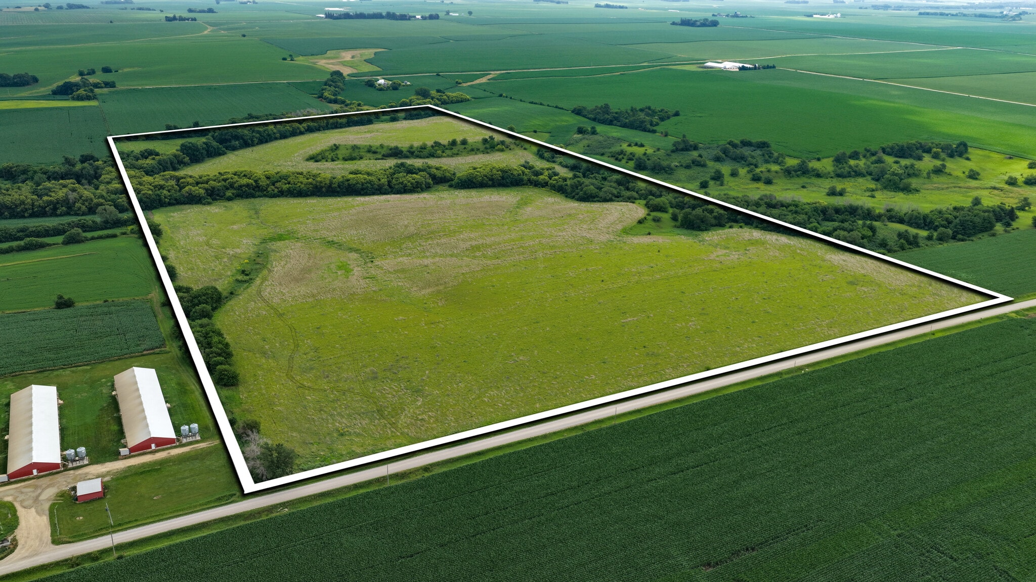 Tulip AVe ave, Geneva, IA for Sale