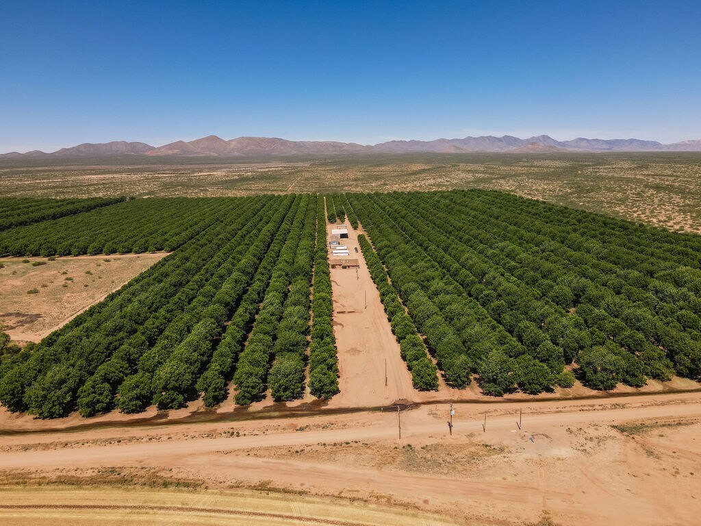 4968 W Gleeson Rd, Elfrida, AZ for Sale