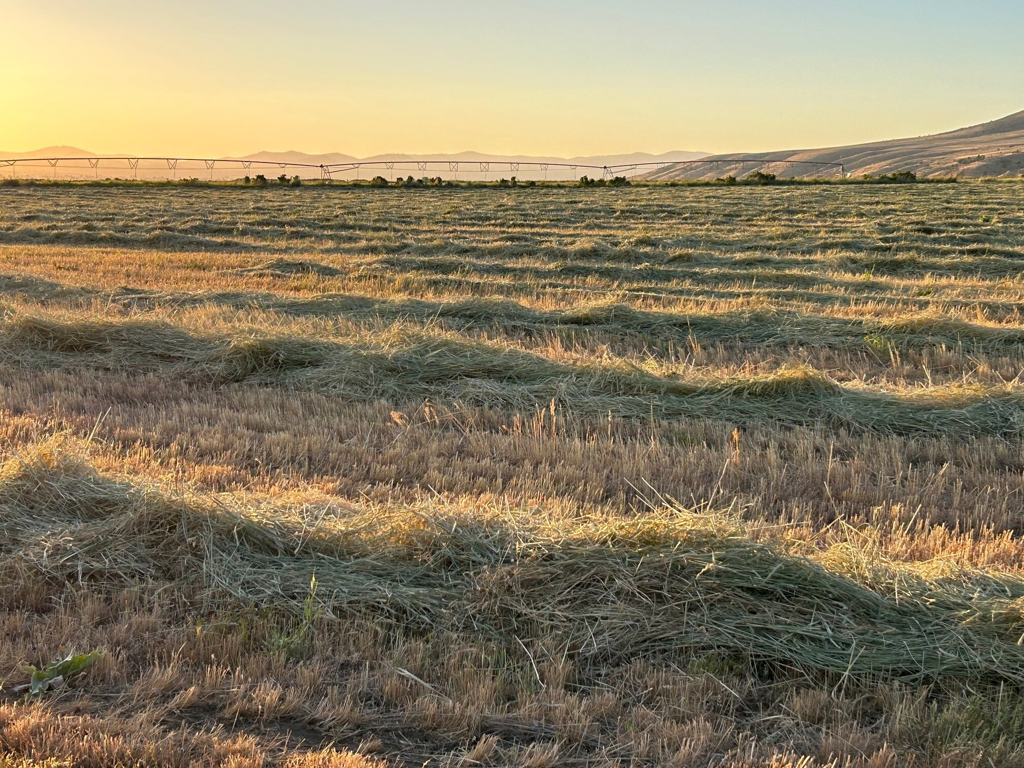 15682 Highway 395, Lakeview, OR for Sale