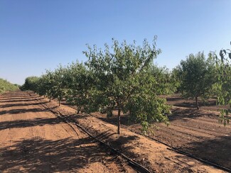 Clovis, CA Agricultural - 86.5 +- ac Organic Almonds Shaw Avenue Clovis Ca